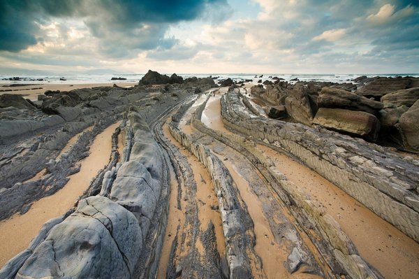 Hair transplant training for professionals